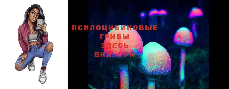 Галлюциногенные грибы Psilocybine cubensis  Киренск 